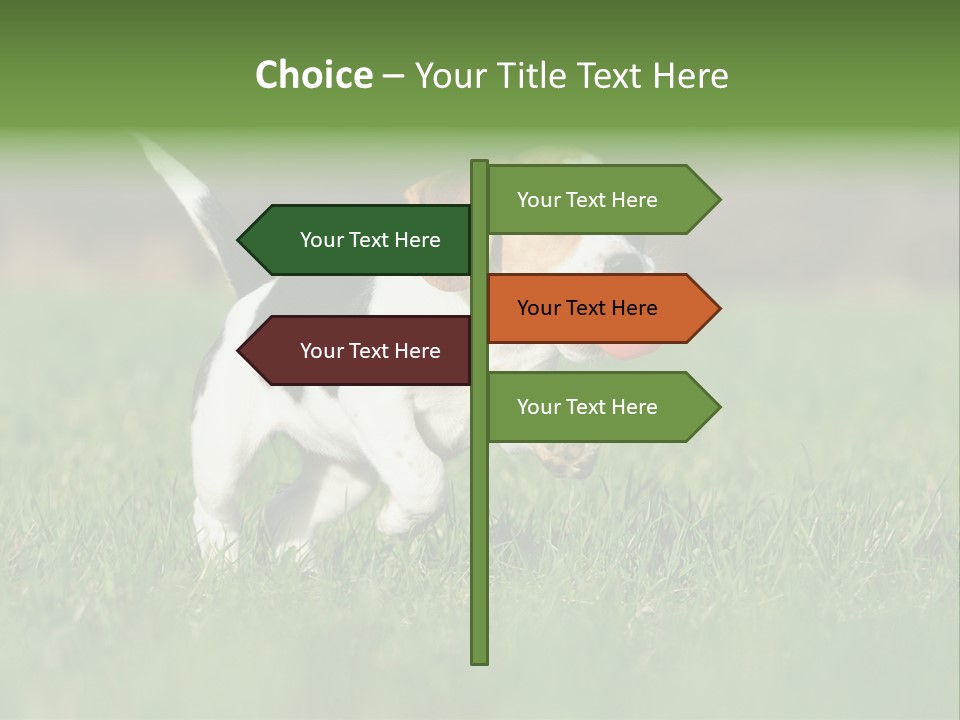 Retrieving Toy Outside PowerPoint Template