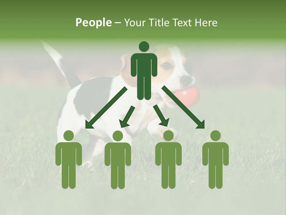 Retrieving Toy Outside PowerPoint Template