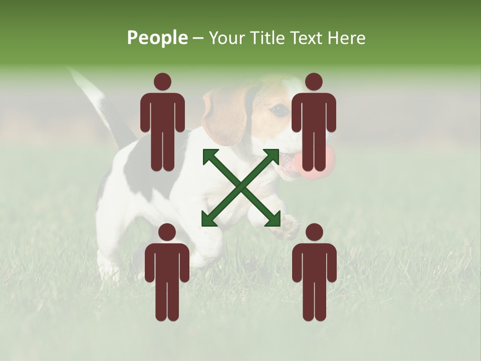 Retrieving Toy Outside PowerPoint Template