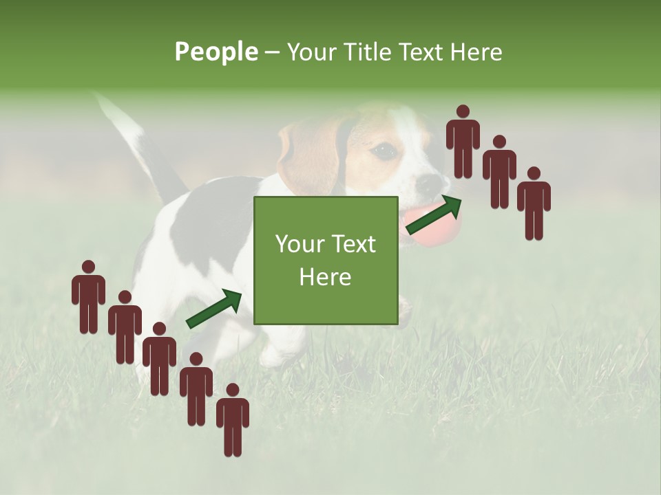 Retrieving Toy Outside PowerPoint Template