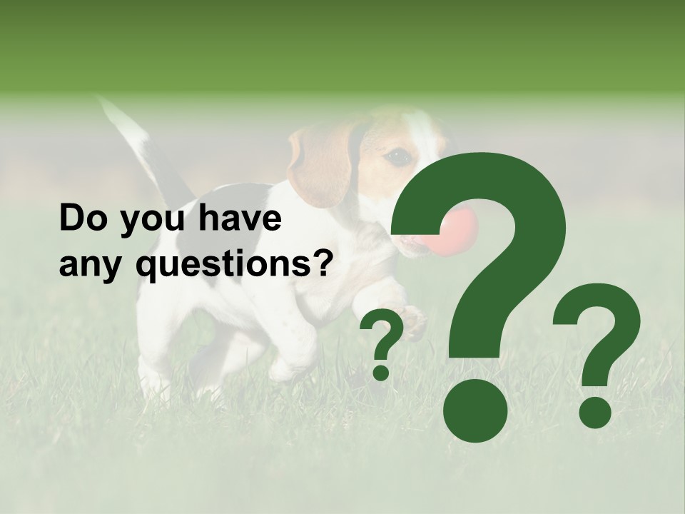 Retrieving Toy Outside PowerPoint Template