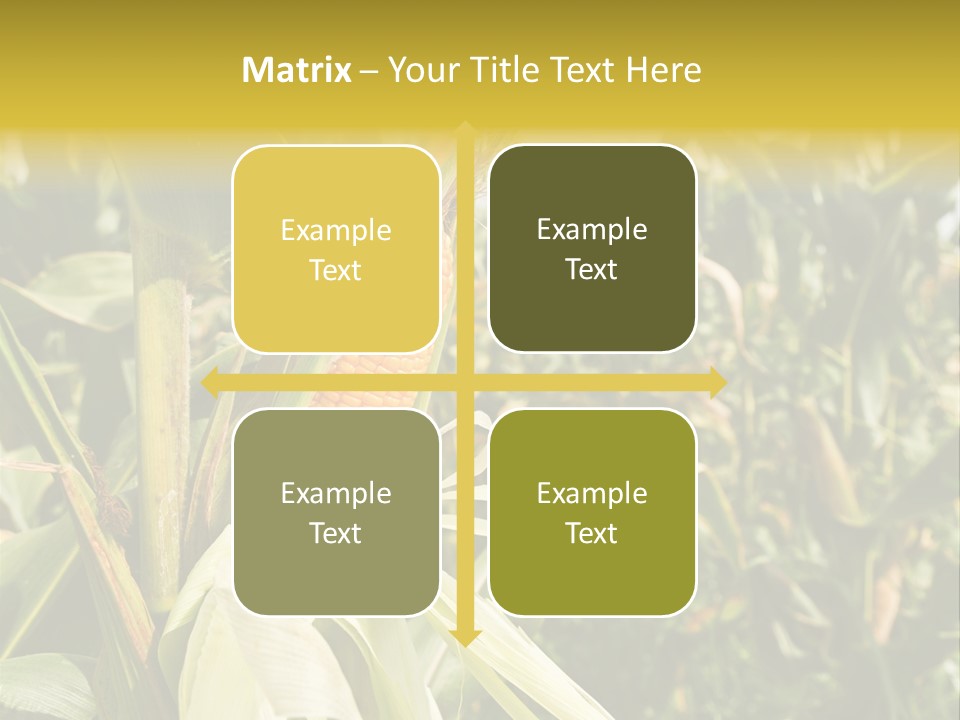 Vitamin Cerealy Green PowerPoint Template