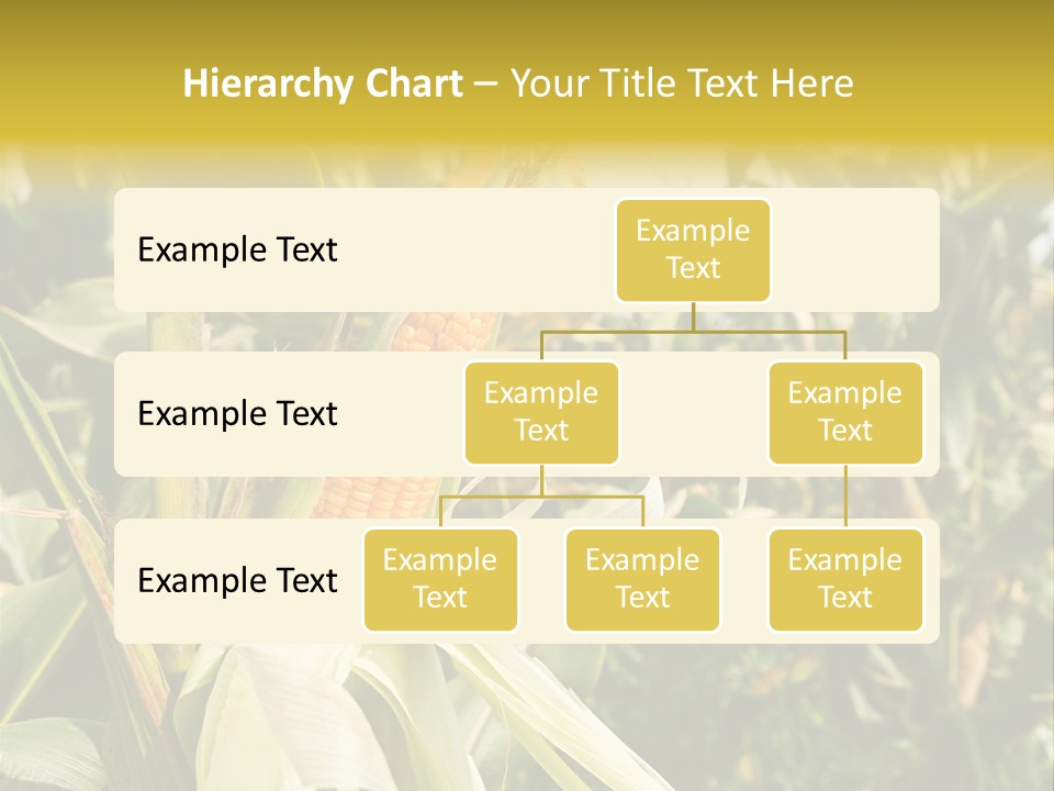 Vitamin Cerealy Green PowerPoint Template
