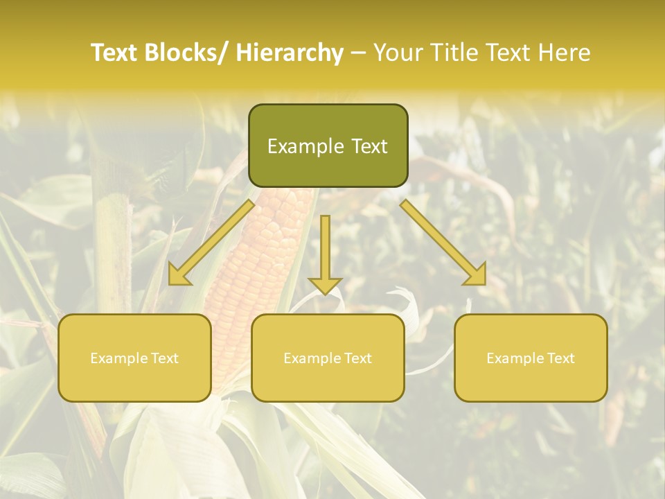 Vitamin Cerealy Green PowerPoint Template