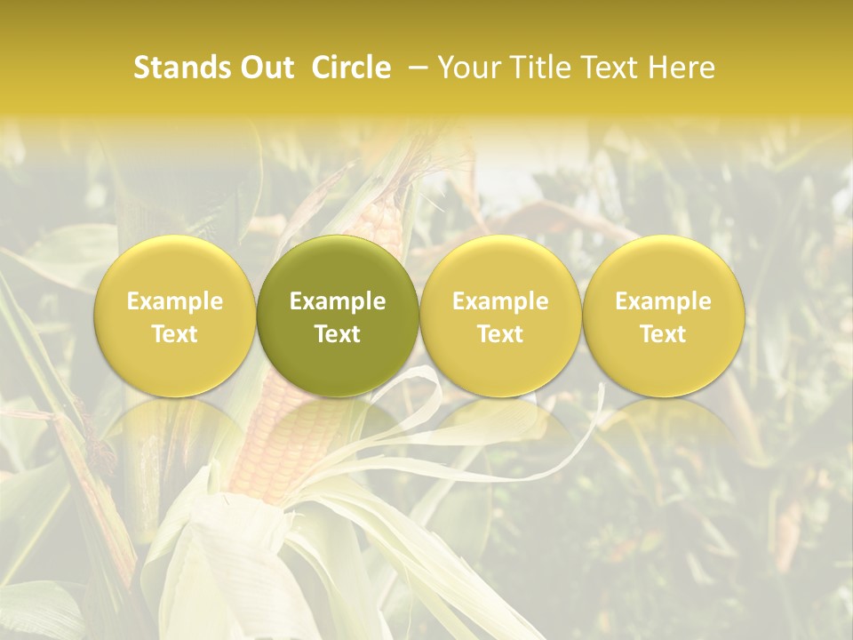 Vitamin Cerealy Green PowerPoint Template