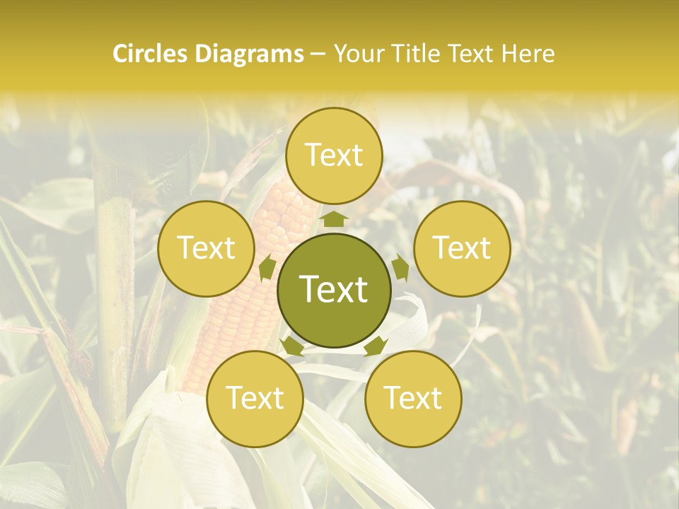 Vitamin Cerealy Green PowerPoint Template