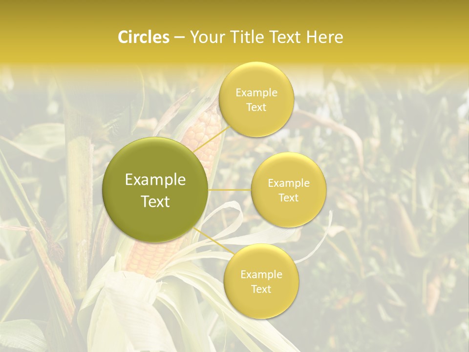 Vitamin Cerealy Green PowerPoint Template