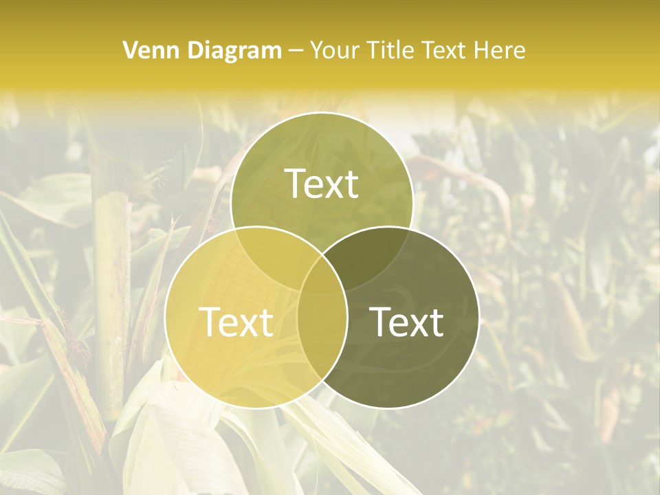 Vitamin Cerealy Green PowerPoint Template