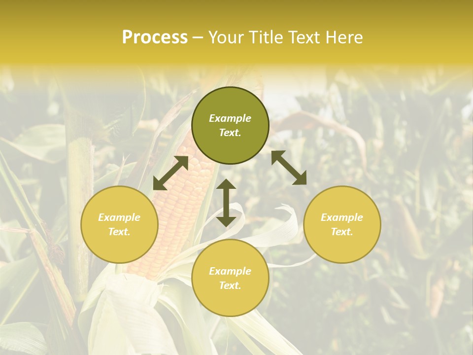 Vitamin Cerealy Green PowerPoint Template