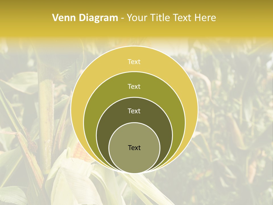 Vitamin Cerealy Green PowerPoint Template