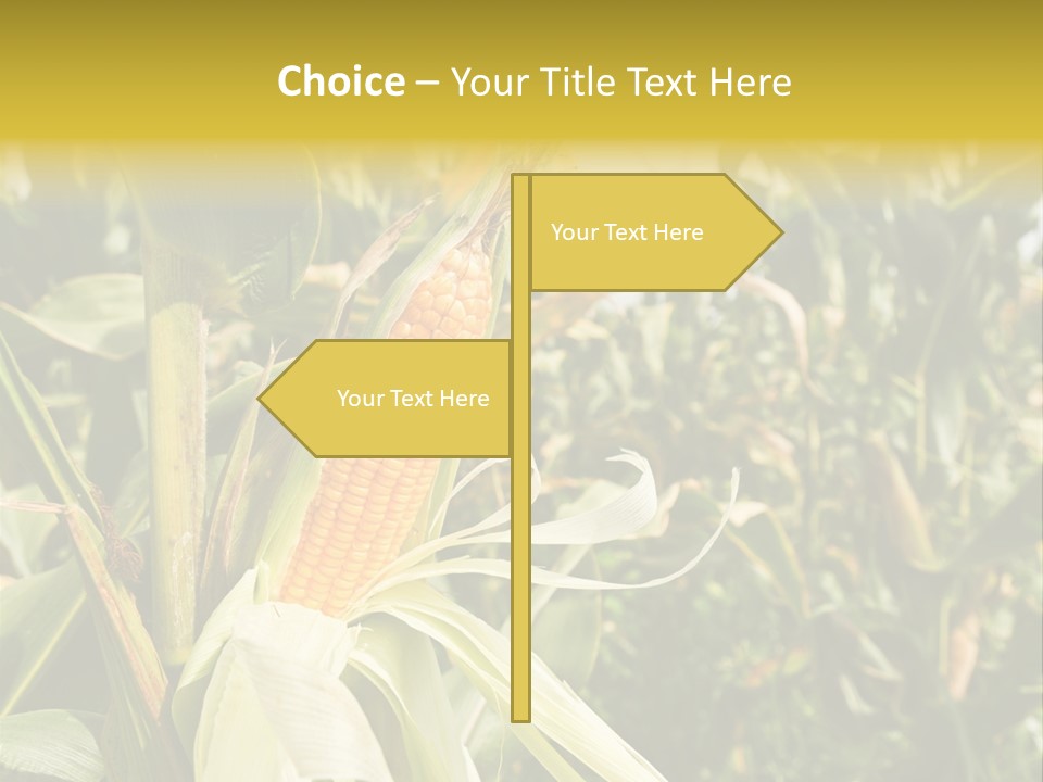 Vitamin Cerealy Green PowerPoint Template