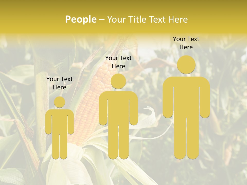 Vitamin Cerealy Green PowerPoint Template