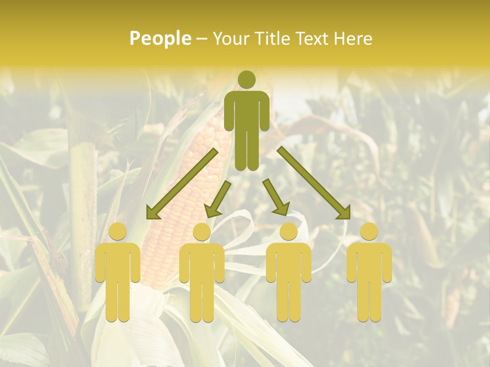 Vitamin Cerealy Green PowerPoint Template