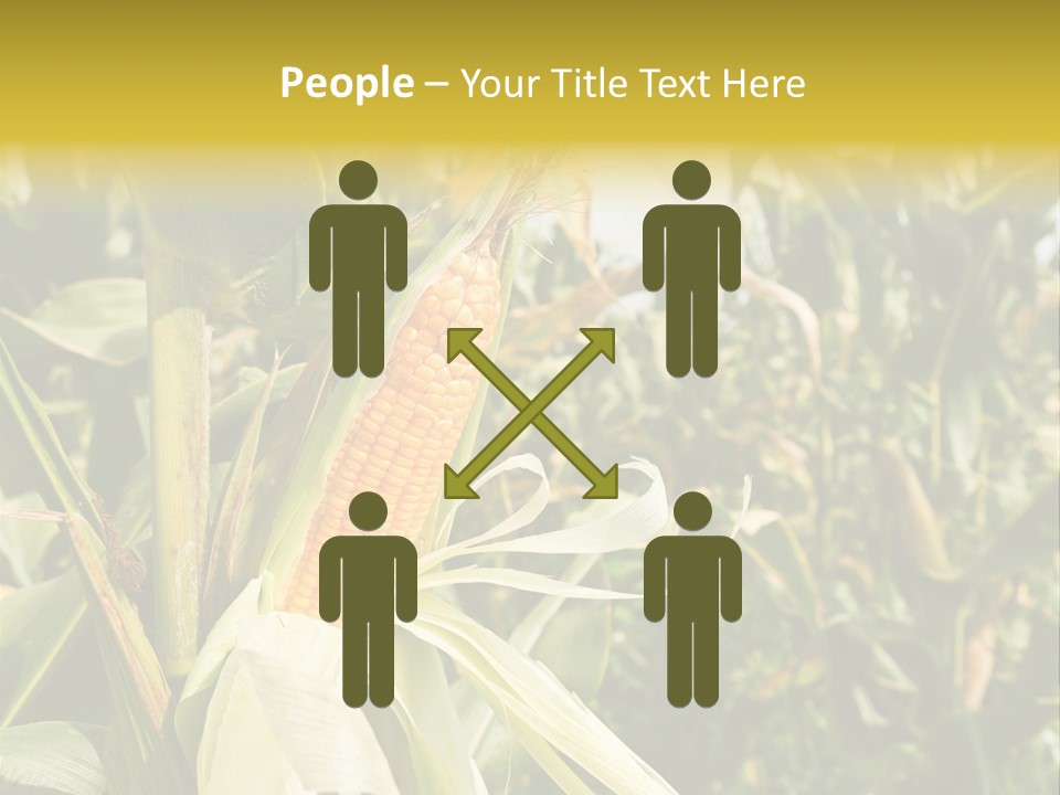 Vitamin Cerealy Green PowerPoint Template