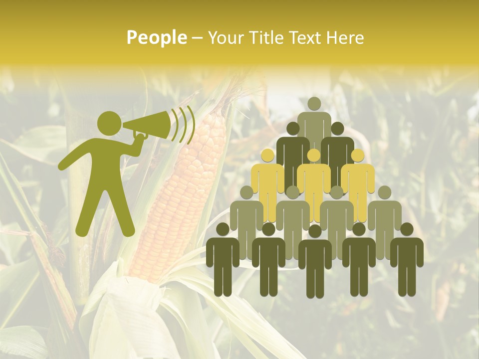 Vitamin Cerealy Green PowerPoint Template