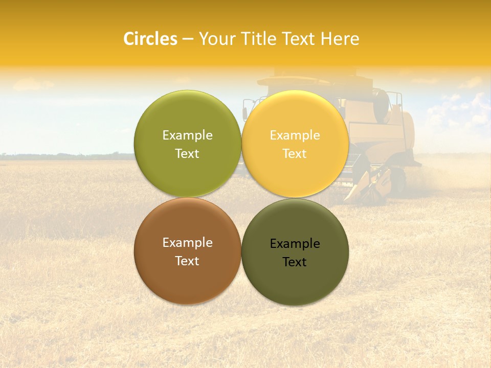 Heavy Flour Ear PowerPoint Template