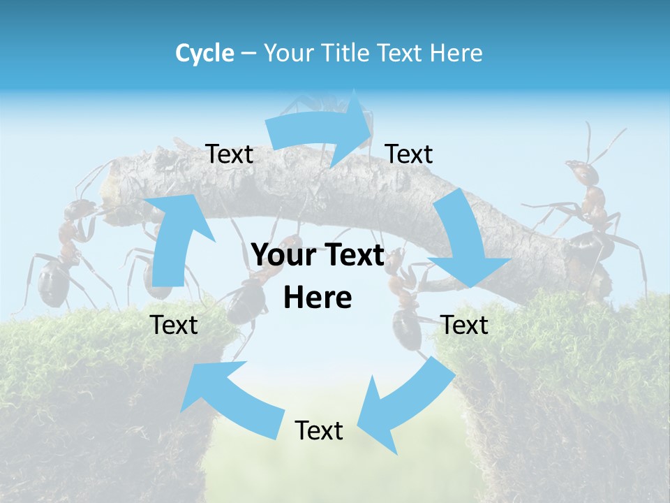 Healthy Lips Braces PowerPoint Template
