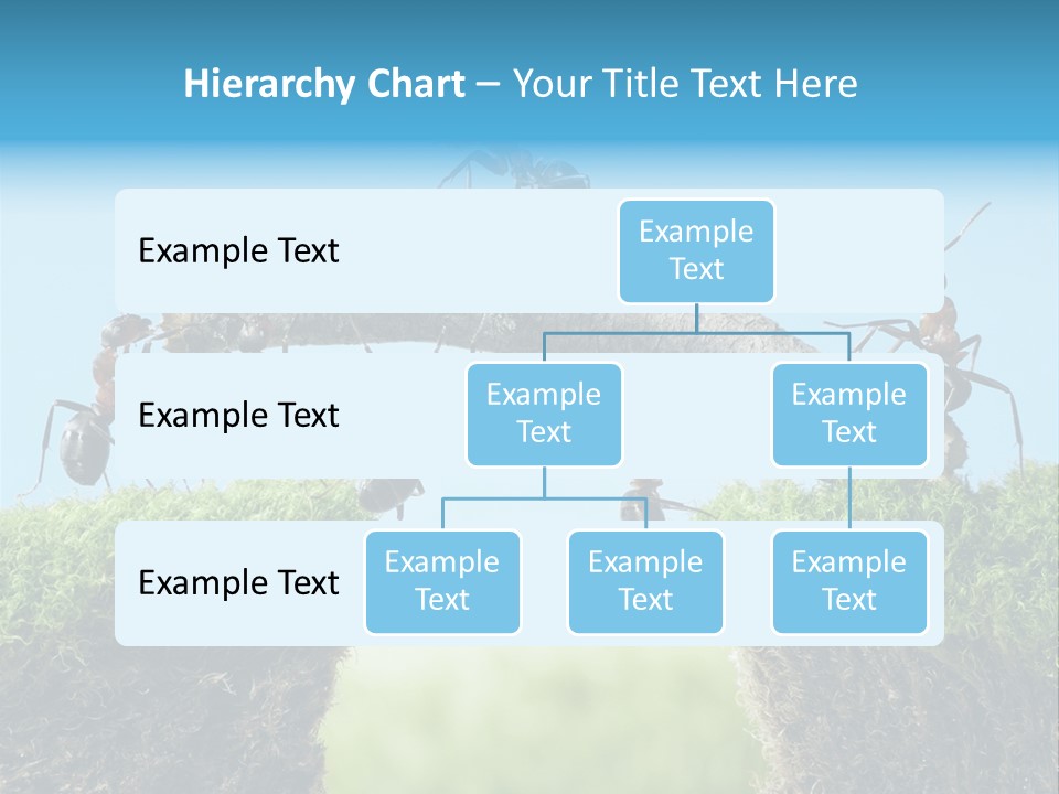 Healthy Lips Braces PowerPoint Template