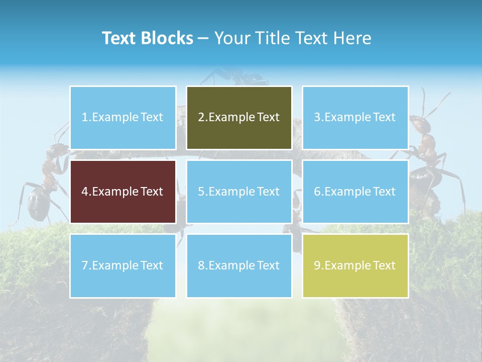 Healthy Lips Braces PowerPoint Template