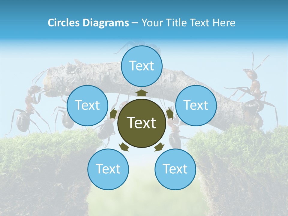 Healthy Lips Braces PowerPoint Template