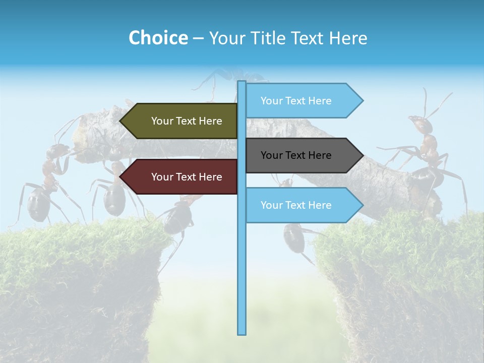 Healthy Lips Braces PowerPoint Template