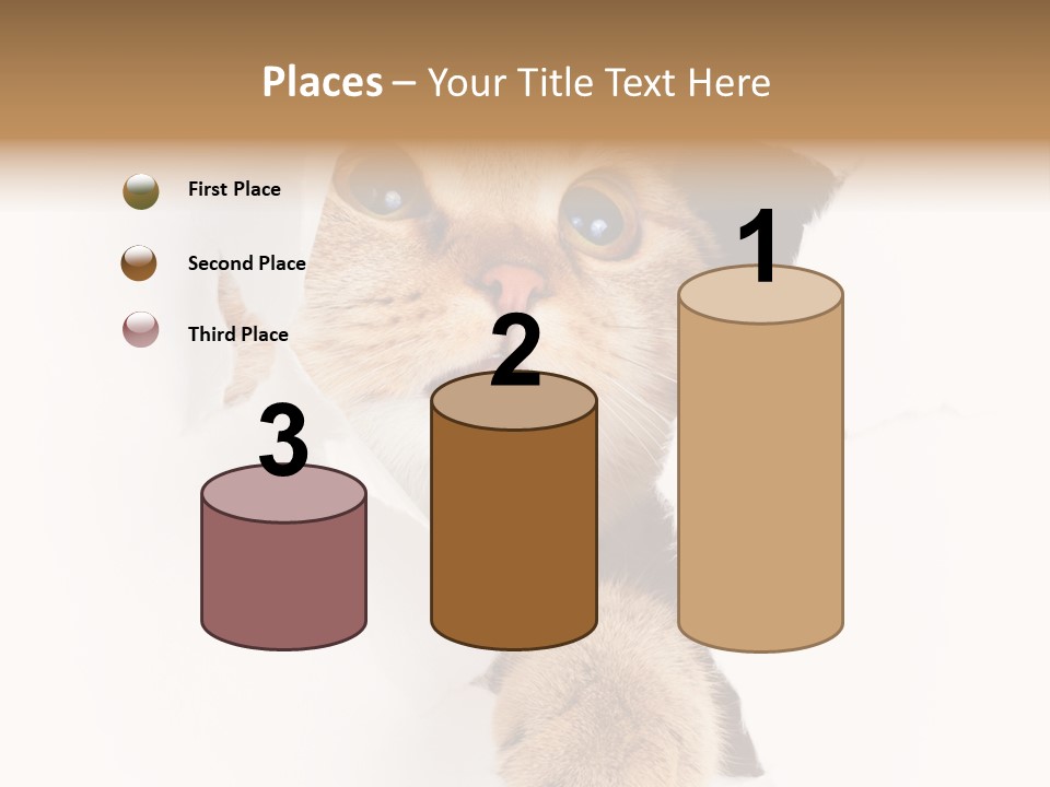British Tabby Cut PowerPoint Template