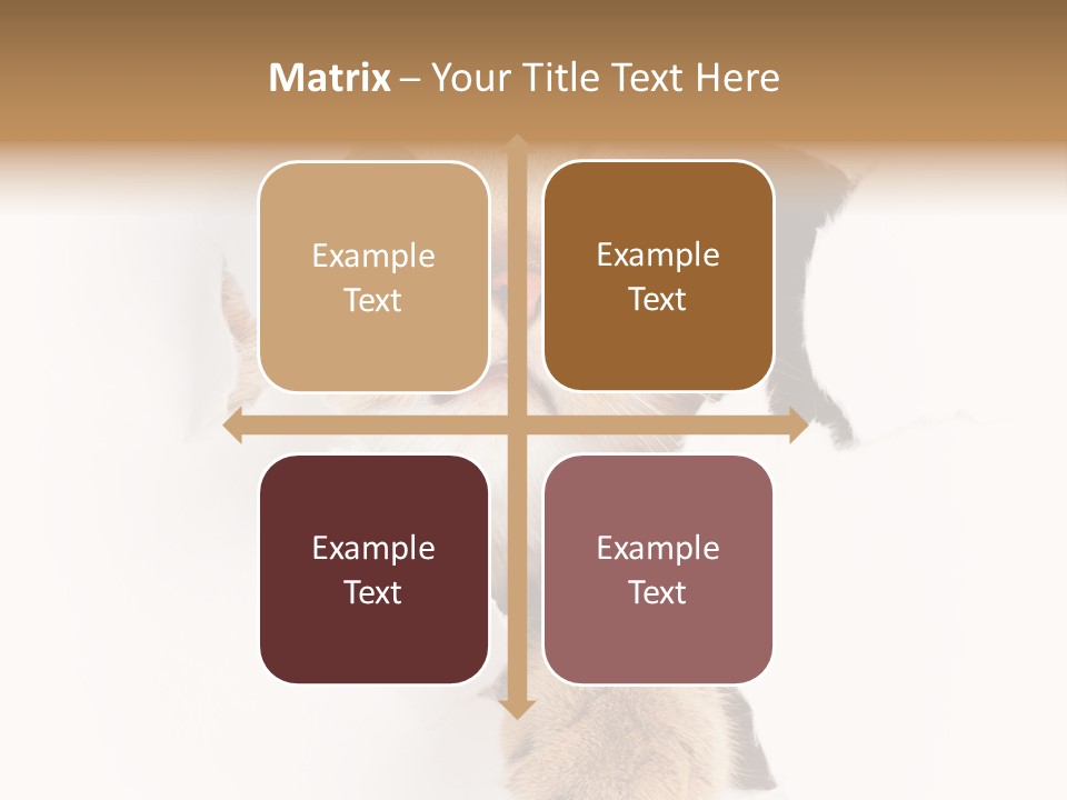 British Tabby Cut PowerPoint Template