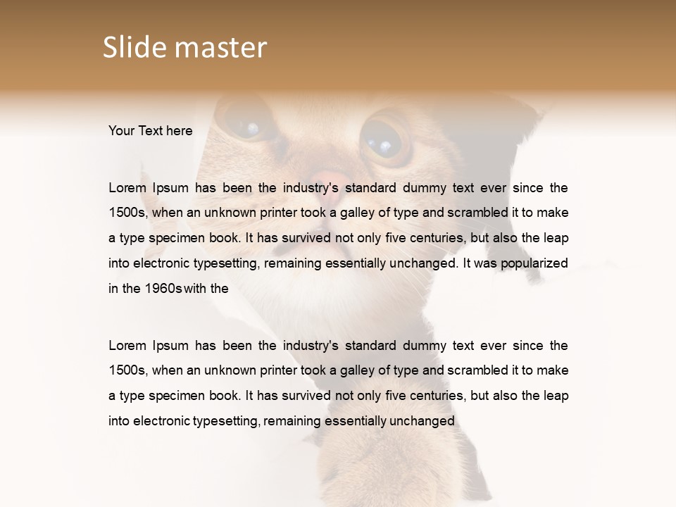 British Tabby Cut PowerPoint Template