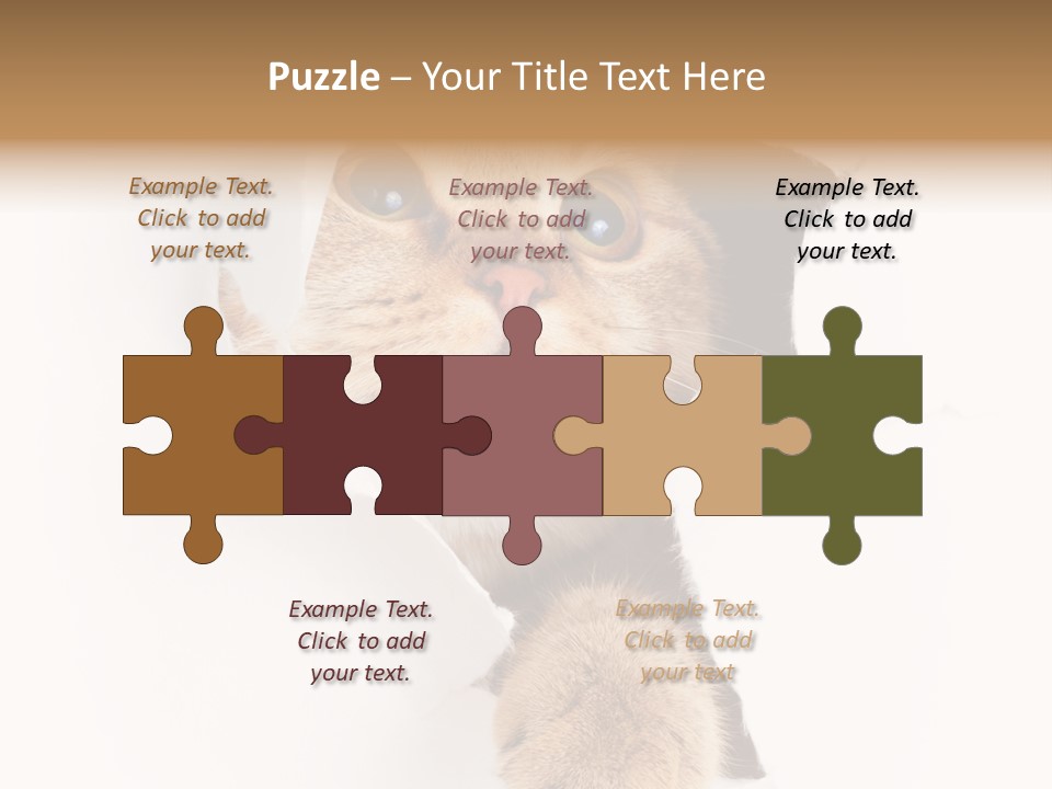 British Tabby Cut PowerPoint Template