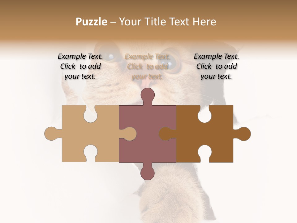 British Tabby Cut PowerPoint Template