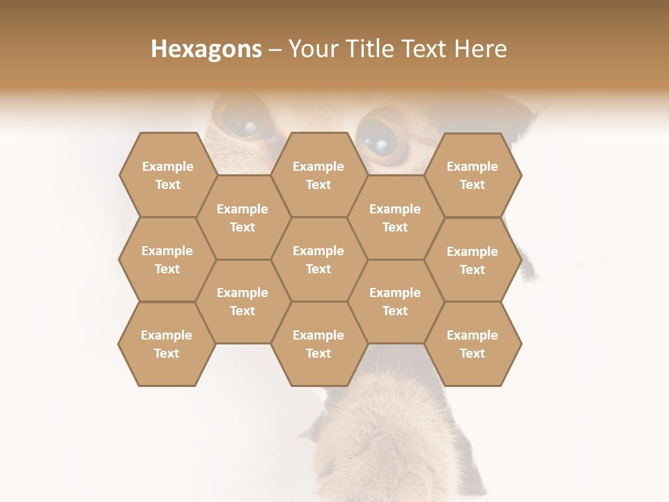 British Tabby Cut PowerPoint Template