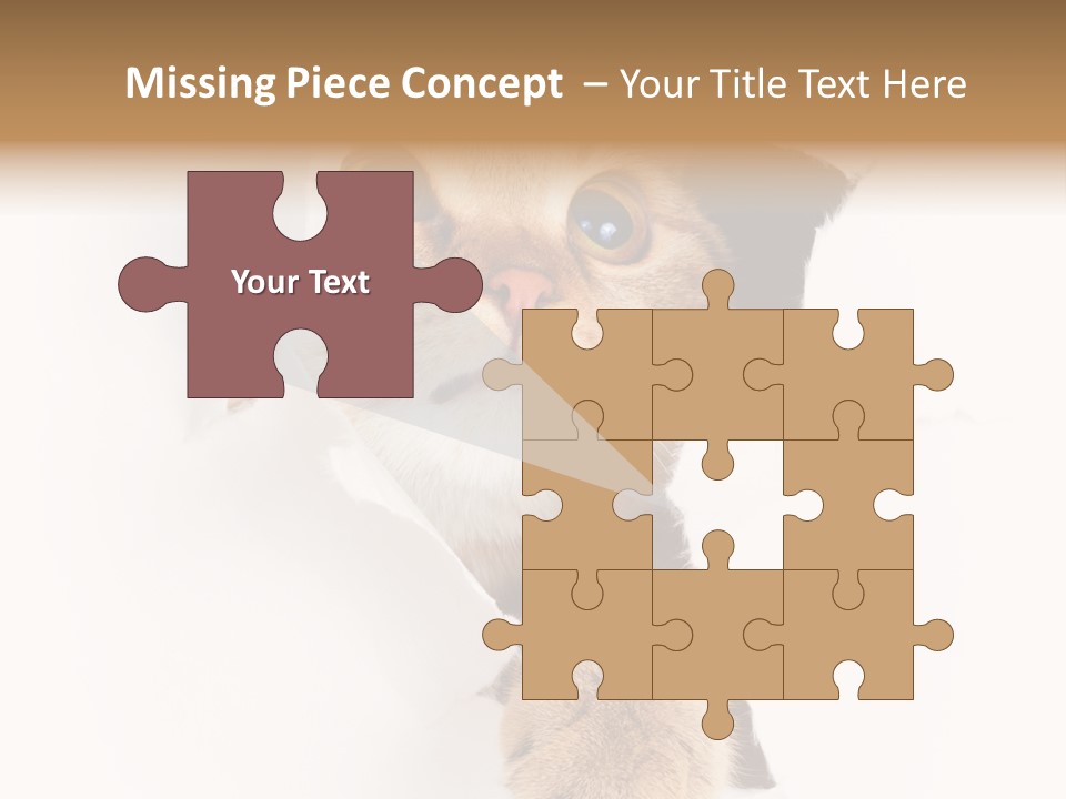 British Tabby Cut PowerPoint Template