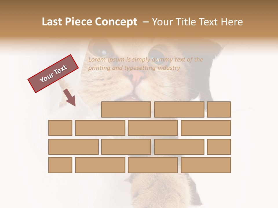 British Tabby Cut PowerPoint Template