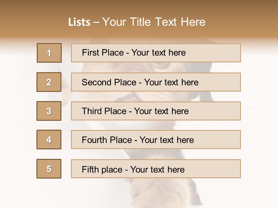 British Tabby Cut PowerPoint Template