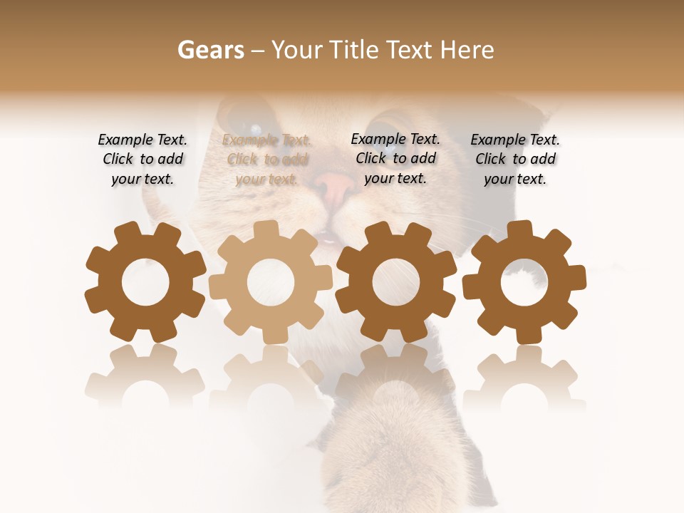 British Tabby Cut PowerPoint Template