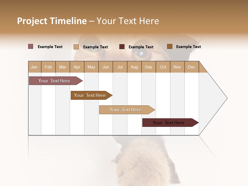 British Tabby Cut PowerPoint Template