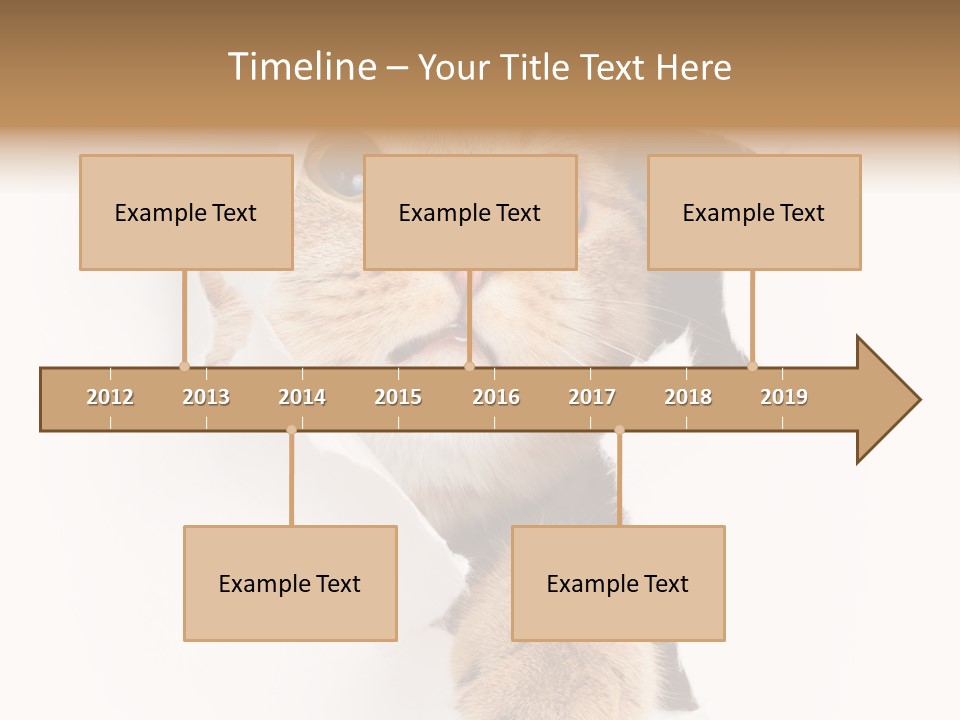 British Tabby Cut PowerPoint Template