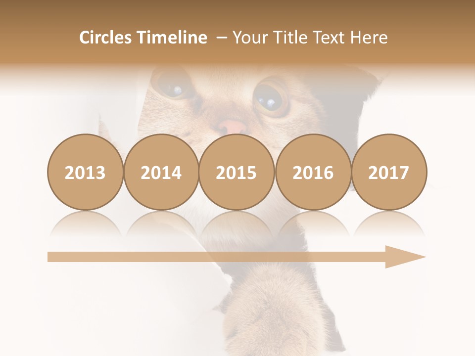 British Tabby Cut PowerPoint Template