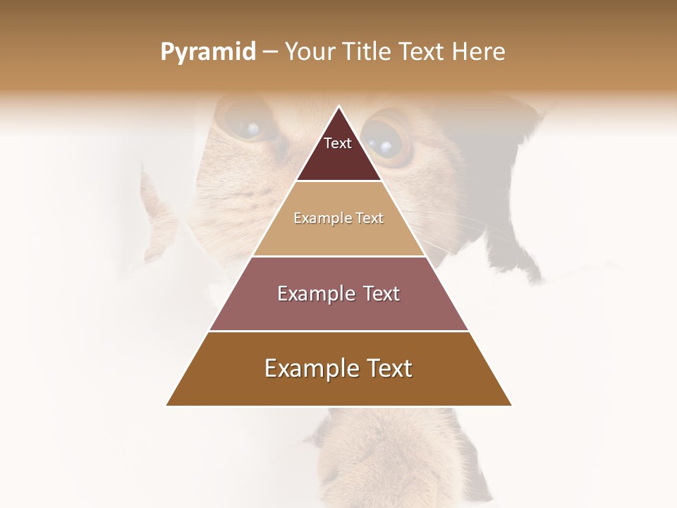 British Tabby Cut PowerPoint Template