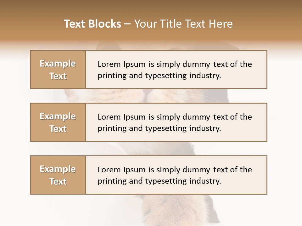 British Tabby Cut PowerPoint Template