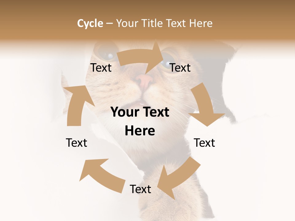 British Tabby Cut PowerPoint Template