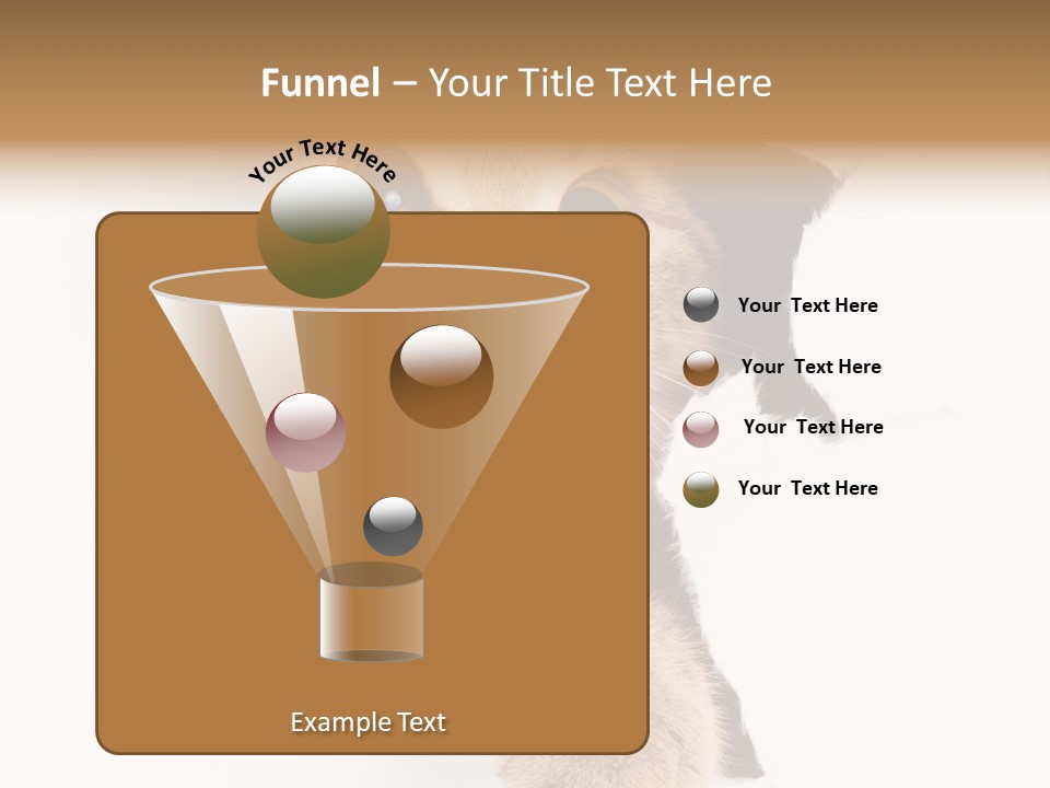 British Tabby Cut PowerPoint Template