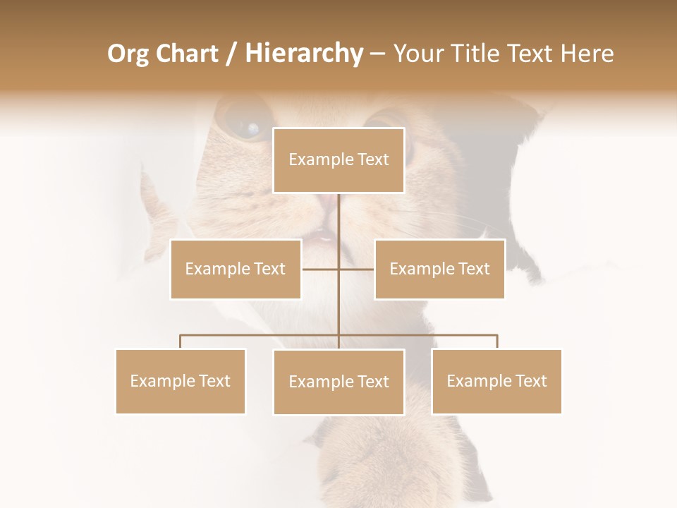 British Tabby Cut PowerPoint Template