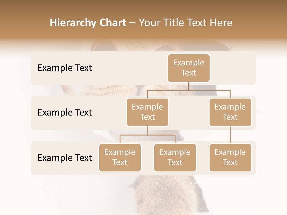 British Tabby Cut PowerPoint Template