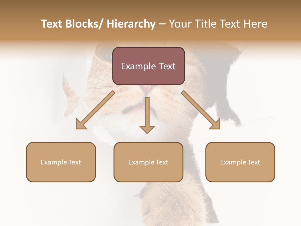British Tabby Cut PowerPoint Template