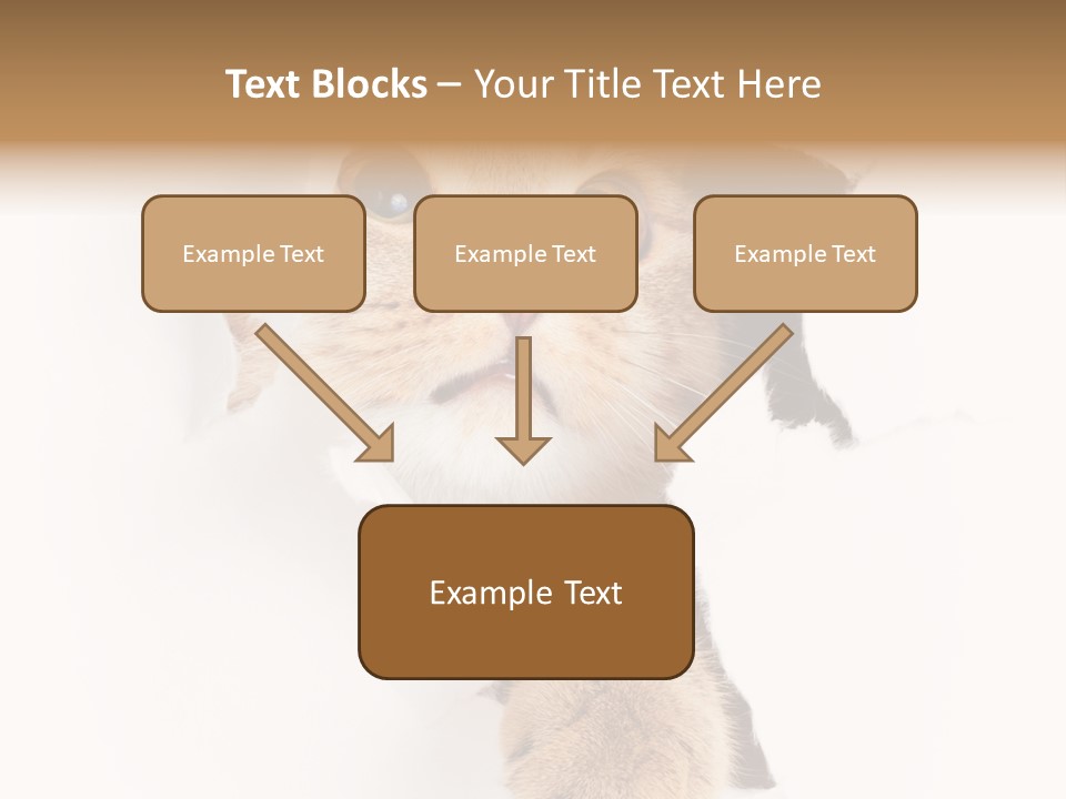 British Tabby Cut PowerPoint Template