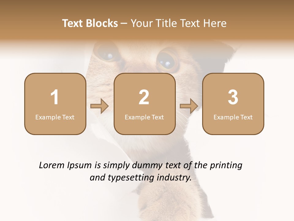 British Tabby Cut PowerPoint Template