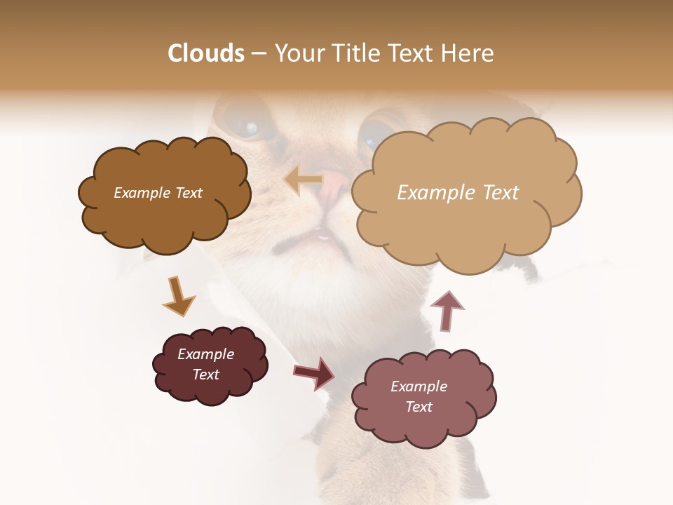 British Tabby Cut PowerPoint Template