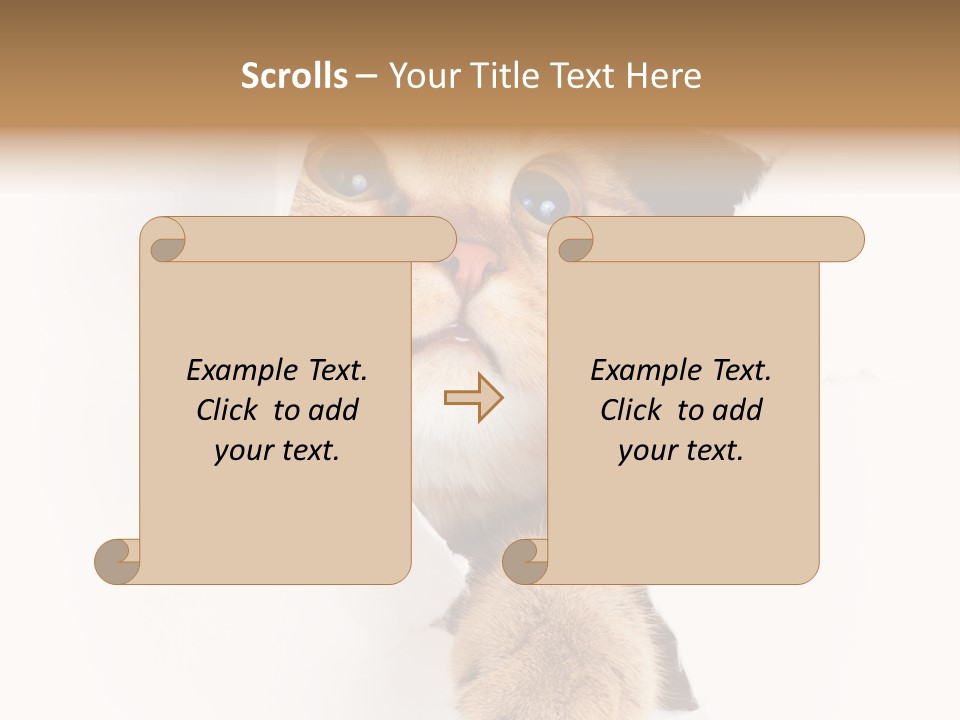 British Tabby Cut PowerPoint Template