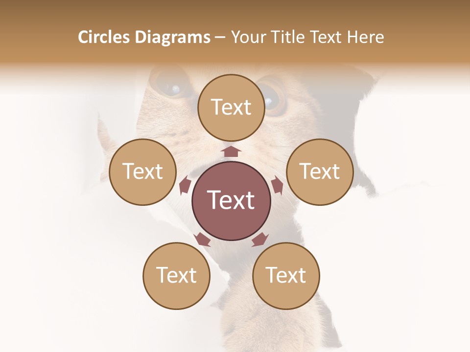 British Tabby Cut PowerPoint Template